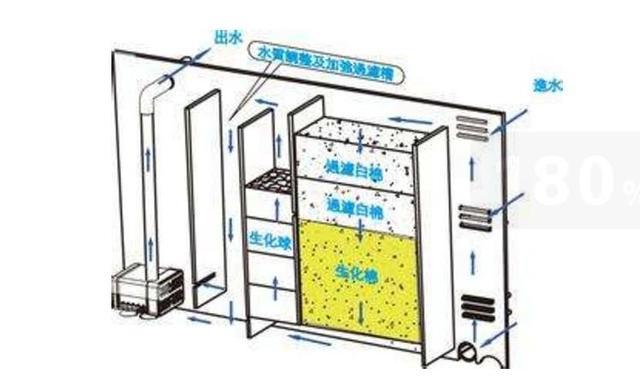 鱼缸滤材如何清理：滤材不正确清洗，恐遭团灭下场