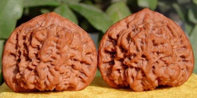 官帽文玩核桃不等于王勇官帽