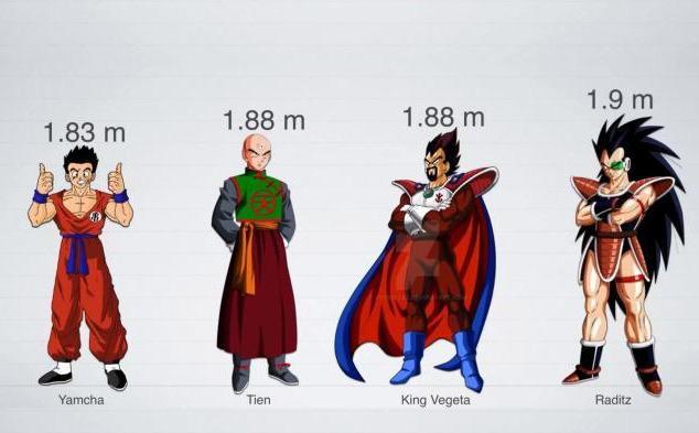 龙珠角色身高大揭秘，贝吉塔很尴尬，孙悟空既是最高又是最矮！