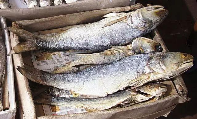 马友鱼：排名第一好吃的海鱼，号称鱼类中的“千层糕”！