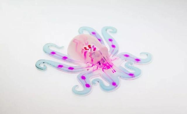 水凝胶是制作软体机器人的常用材料？水凝胶是什么东西呢？