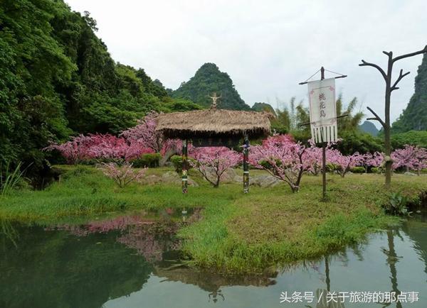 三生三世十里桃花现实桃花林!