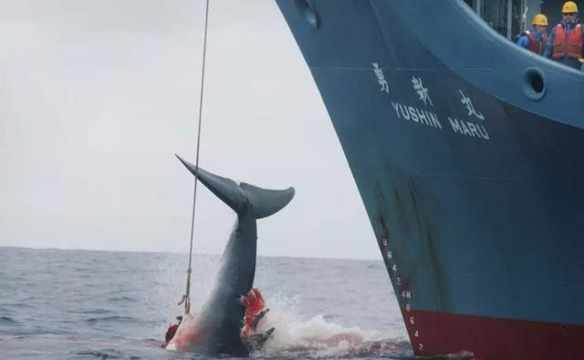 汇聚全球热门赛事尽享高清流畅直播