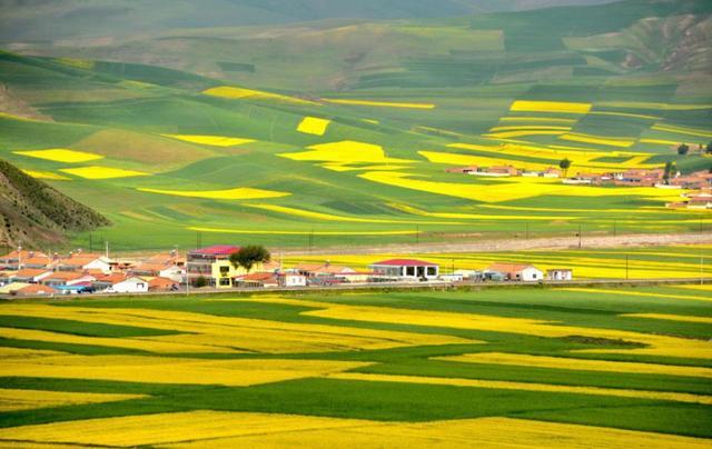 中国最美油菜花赏花地图