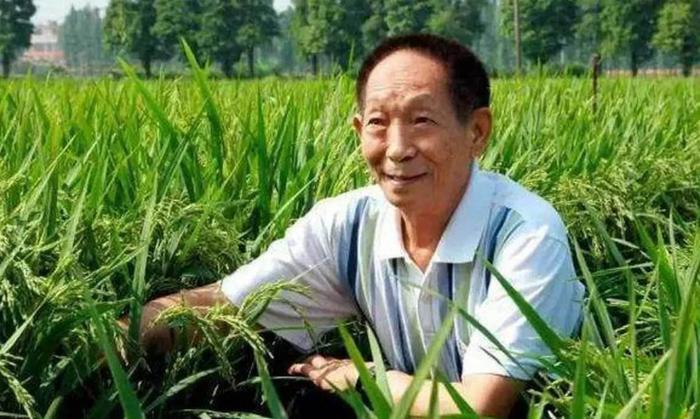 杂交水稻之父袁隆平不是中国科学院院士，不必为此耿耿于怀