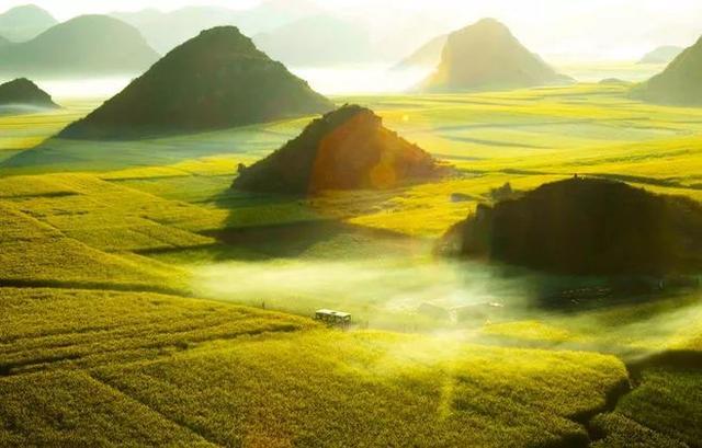 中国最美油菜花赏花地图