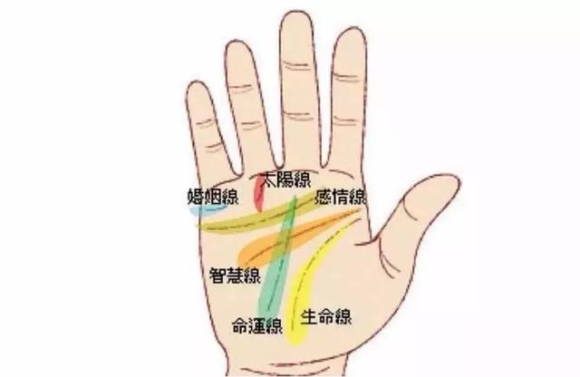 看手相是男左女右嗎?手相的九條紋理的具體分析