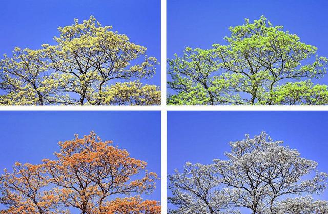 企业邮箱怎么选