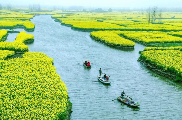 中国最美油菜花赏花地图