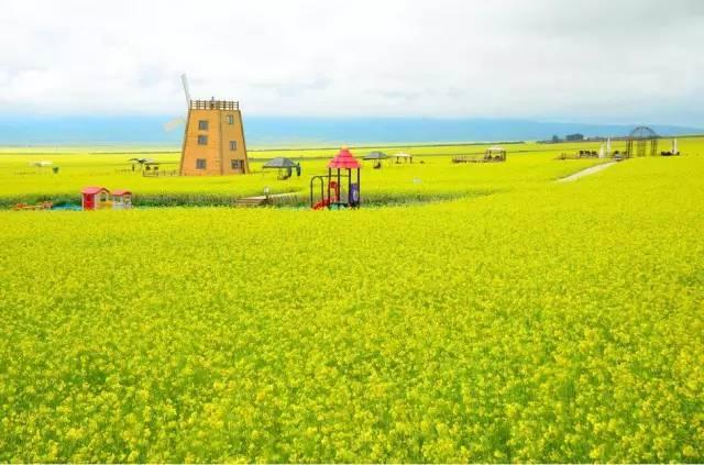 中国最美油菜花赏花地图