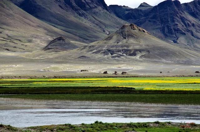 中国最美油菜花赏花地图