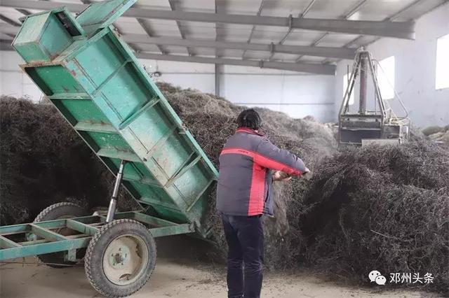 邓州市鸿海药业董事长王海华：扶贫路上巾帼不让须眉