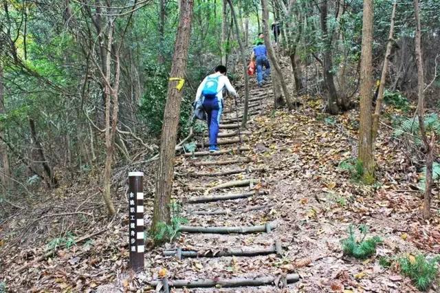 宁波12条登山步道最详细路线公布！其中有一条长达11公里····