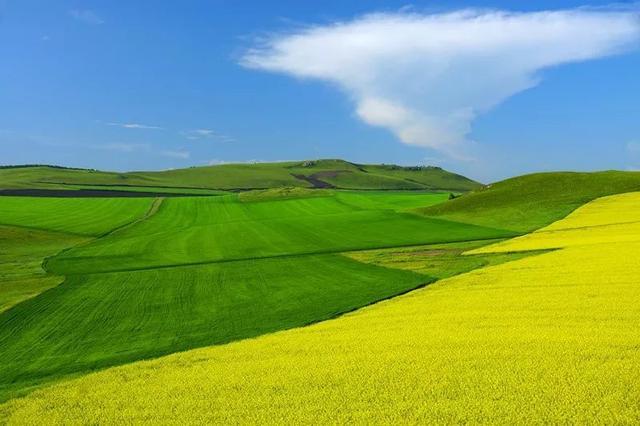 中国最美油菜花赏花地图