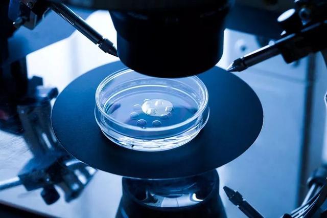 18位科学家呼吁暂停生殖细胞基因编辑，如何用好基因编辑双刃剑