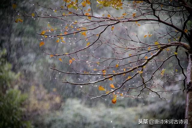 十首秋雨诗词，十种心情，你是哪一种？