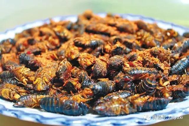 15道宴席竟然不重样,这座城市才是云南美食天堂!!