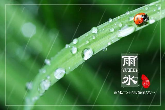 雨水时节，读读那些经典的雨水诗