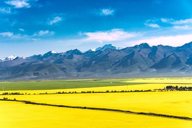 中国最美油菜花赏花地图