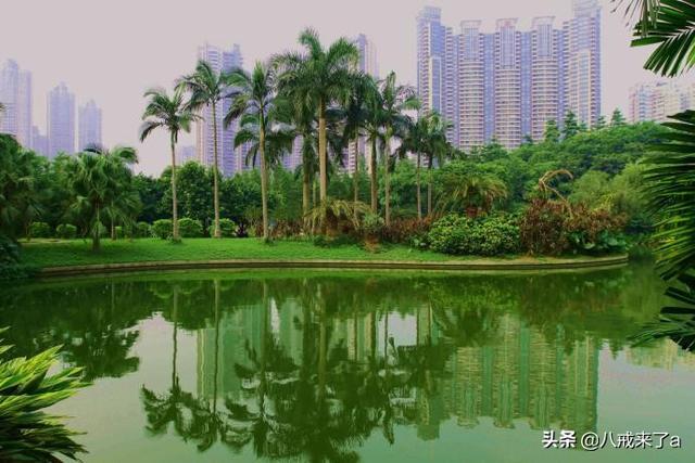 广东广州天河区五个值得一去旅游景点,看看有你喜欢吗?!