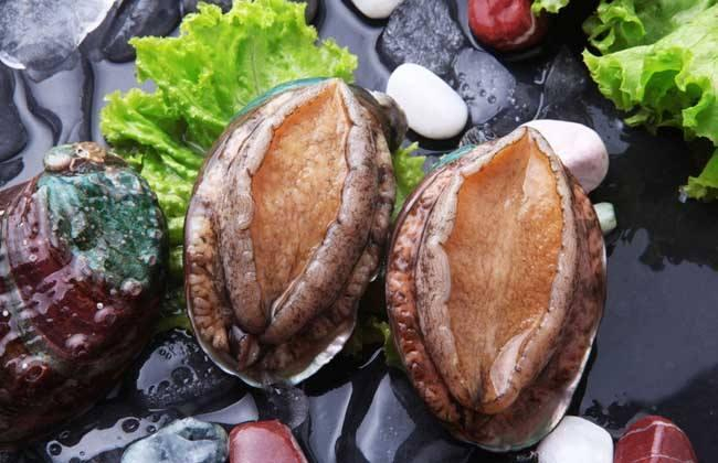 ��������� ���ּҳ���ζ��Ӫ��������