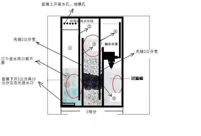 鱼缸过滤哪种效果好：大神分析各种主流过滤形式的优缺点