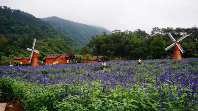 广东肇庆德庆县五个值得一去的旅游景点