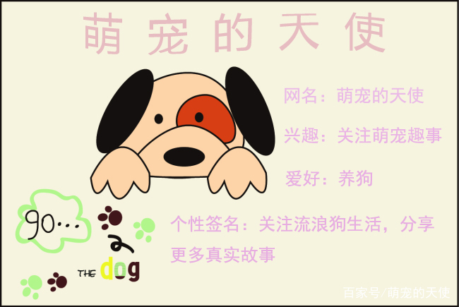 猫咪走失主人苦寻，不料狗市中意外相逢，见面一刻笑坏围观人