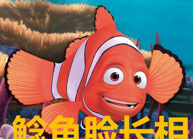你是哪种动物长相？猫系脸Jennie惊艳撩人，鲶鱼脸才高级！