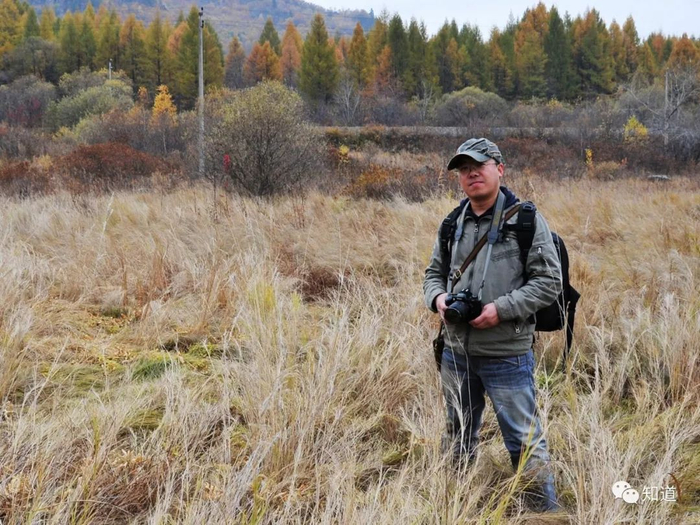 KnowArt｜海峰行草书 贺铸《青玉案 凌波不过横塘路》