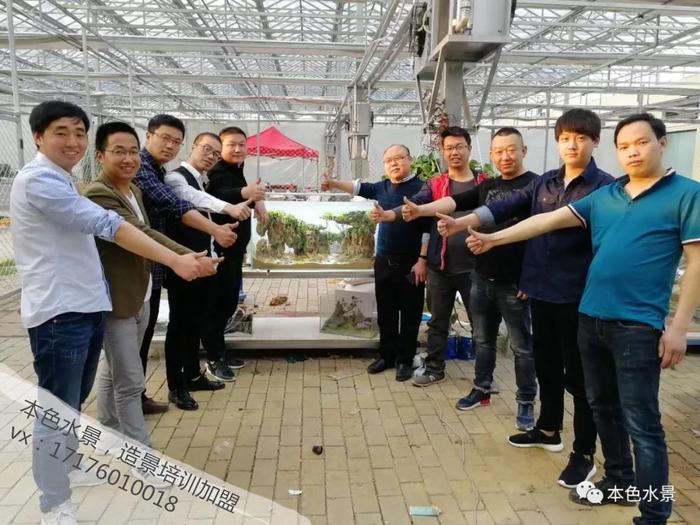 水草造景入门到精通，水草造景培训班找本色水景，水族箱造景培训