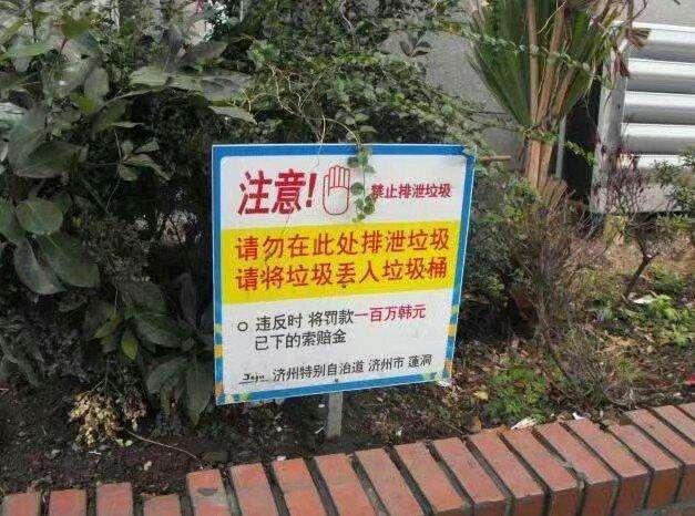 中国游客日韩旅游,屡遭中文标语“打脸”,中国游客:再也不去了
