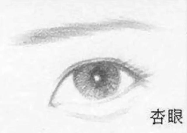 中国古代的人脸审美，是更喜欢小眼塌鼻大饼脸？？