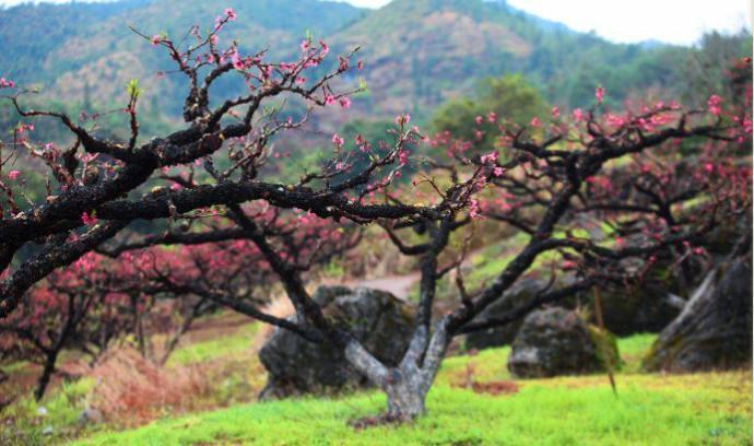 广东河源连平县三个值得一去的旅游景点