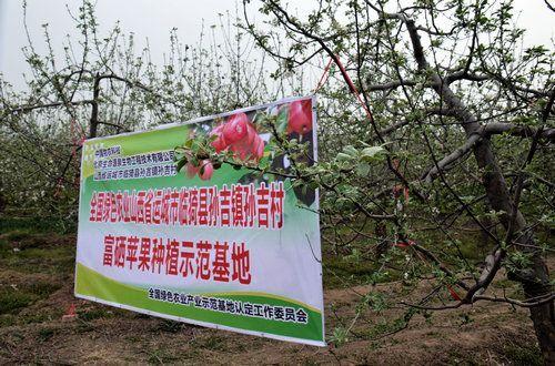 北京生命源泉生物山西富硒苹果基地落成仨