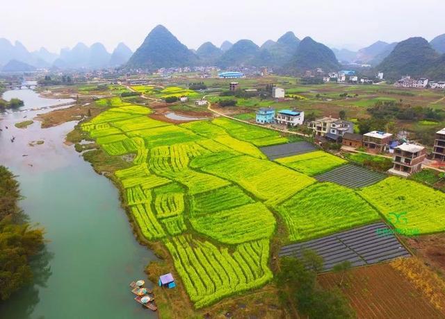 中国最美油菜花赏花地图