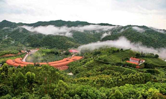 广东梅州市梅县区四个值得一去的旅游景点，看看有你喜欢的吗？