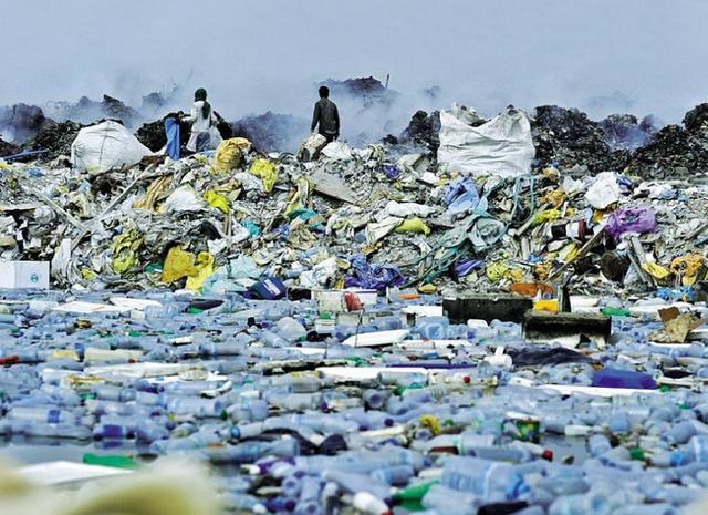 这座垃圾岛形成的“世界第八大陆”要建国，14万人欲申请成为公民
