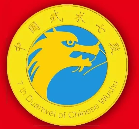 武术“国考”咋考？进来了解一下！