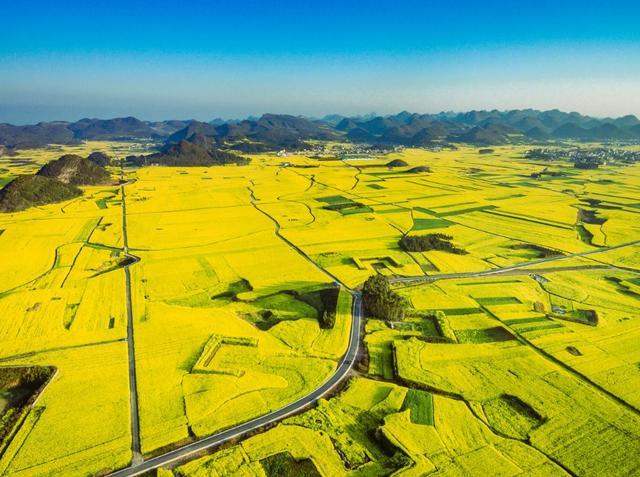 中国最美油菜花赏花地图