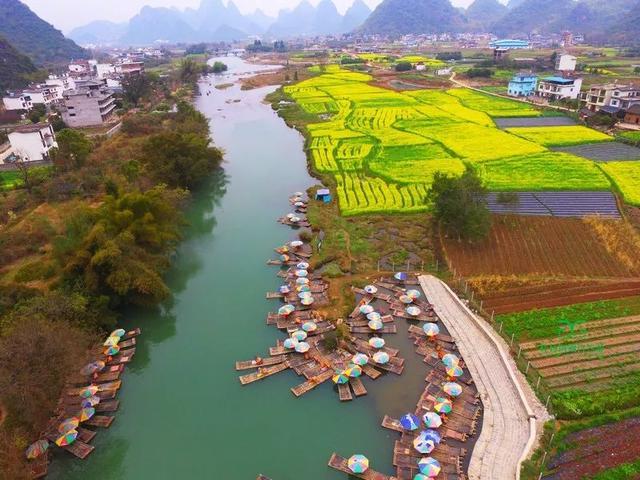 中国最美油菜花赏花地图