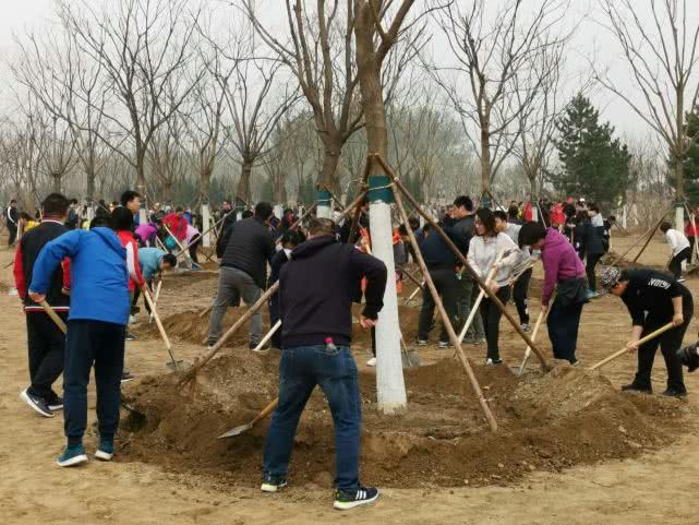 通州区2019年春季大型义务植树活动圆满举行