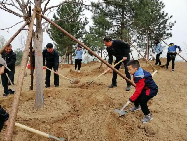 通州区2019年春季大型义务植树活动圆满举行