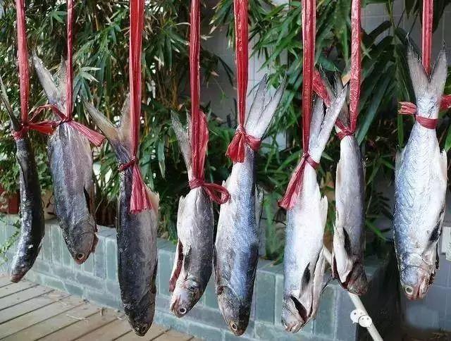 马友鱼：排名第一好吃的海鱼，号称鱼类中的“千层糕”！
