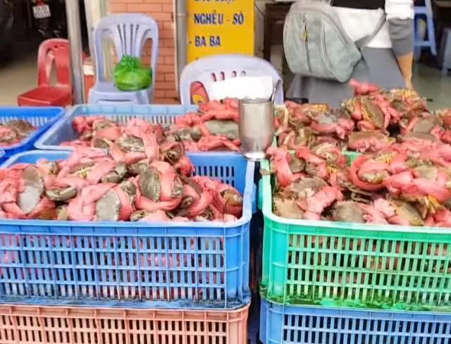 越南街头5元1斤青蟹，个头大膏蟹多，游客却不买账：我们又不傻！