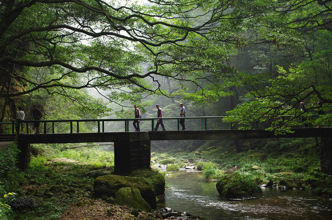 尚志同城快餐群加vx