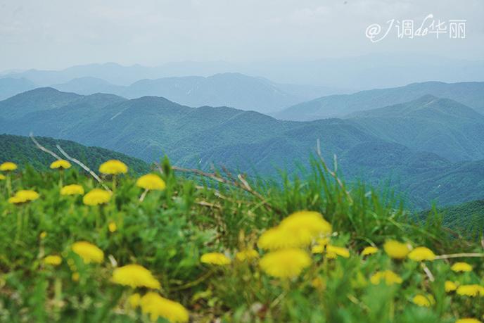 【<a href='http://travel.sina.com.cn/riben-lvyou/?from=b-keyword' ><em>日本</em></a>】宫城县:探秘藏王连峰深处的“秘境温泉”