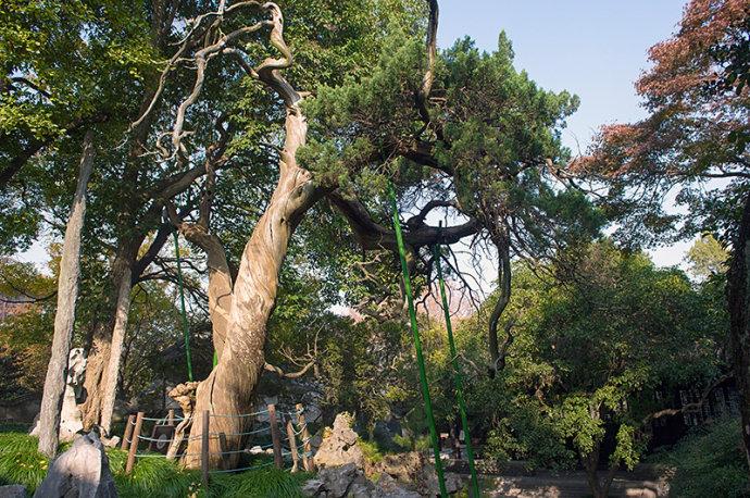 隐藏在<a href='http://travel.sina.com.cn/taizhou_taixingrenmingongyuan-lvyou/?from=b-keyword' ><em><em>泰州</em></em></a>繁华闹市的私宅大院,连梅兰芳都曾来住过!