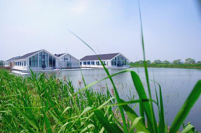 #美在春天#<a href='http://travel.sina.com.cn/jiangsu-lvyou/?from=b-keyword' ><em>江苏</em></a>最美的湿地公园,环境清幽游客极少