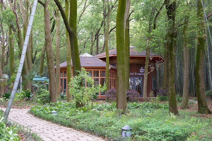 #美在春天#<a href='http://travel.sina.com.cn/jiangsu-lvyou/?from=b-keyword' ><em>江苏</em></a>最美的湿地公园,环境清幽游客极少